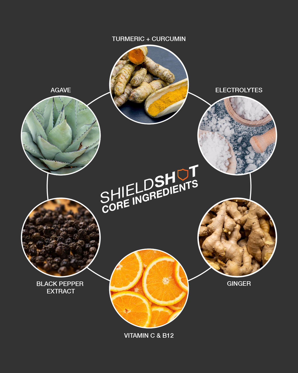 ShieldShot core ingredients graphic